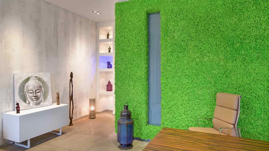 Как сделать панно из натурального мха на стене: особенности и уход