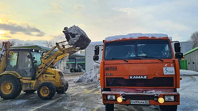 Услуги по вывозу мусора: как выбрать надёжную компанию